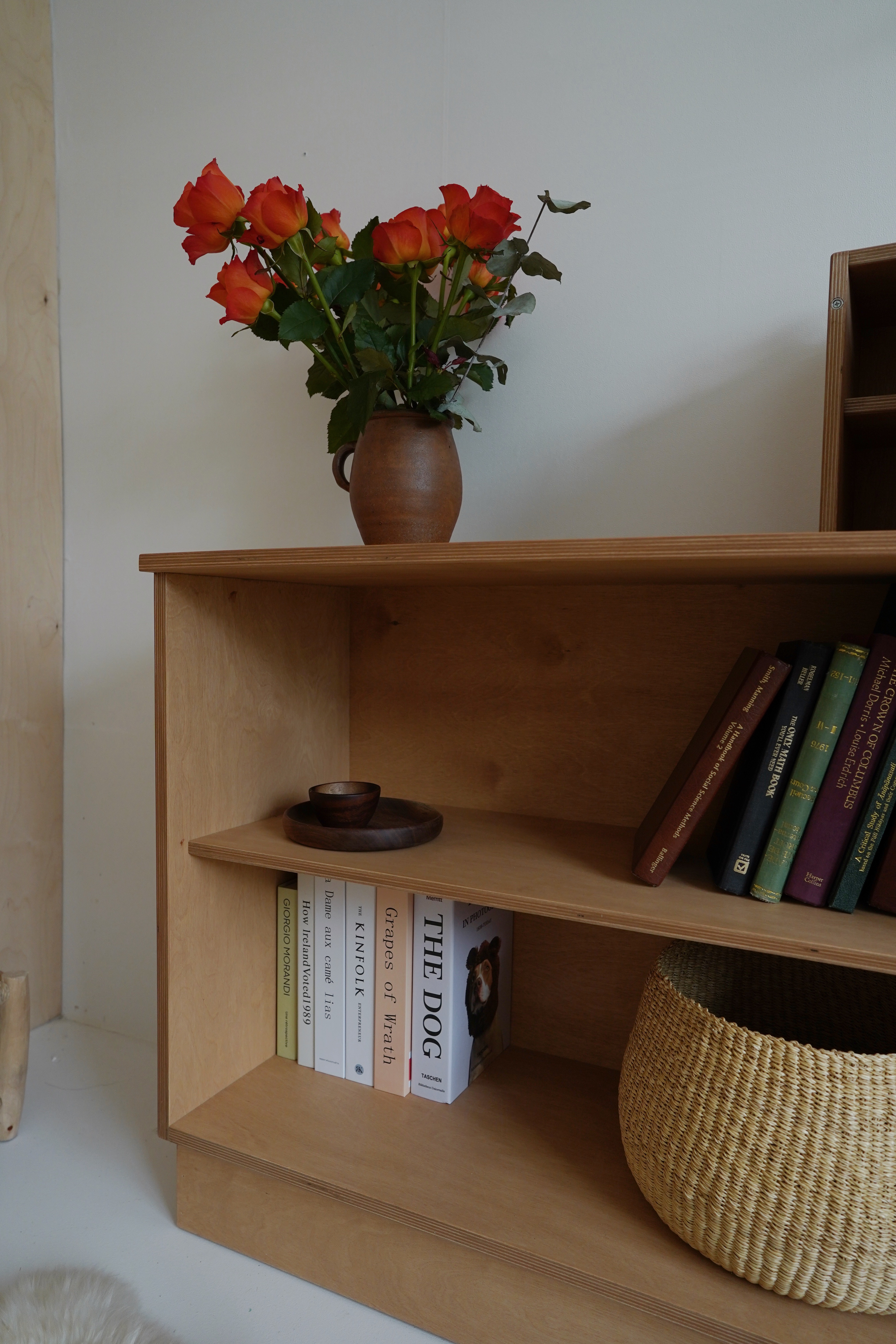 2-tier storage shelf